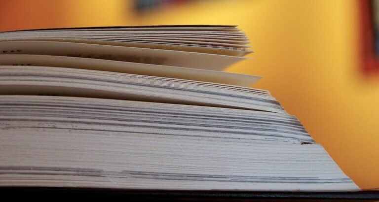 Our College Guidance Will Lead You To Success